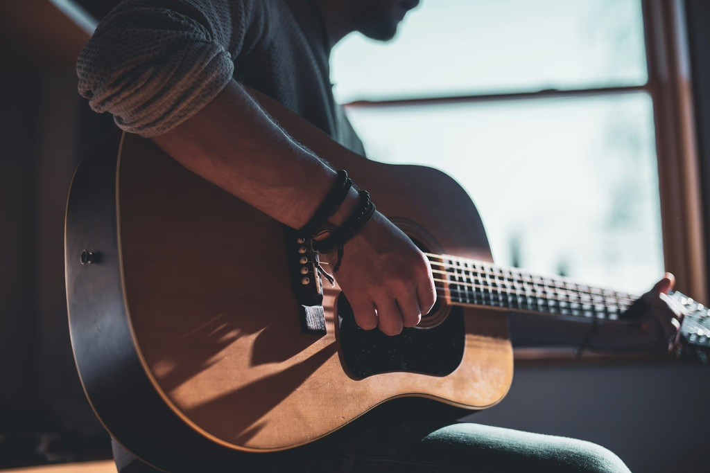 musician playing instrument